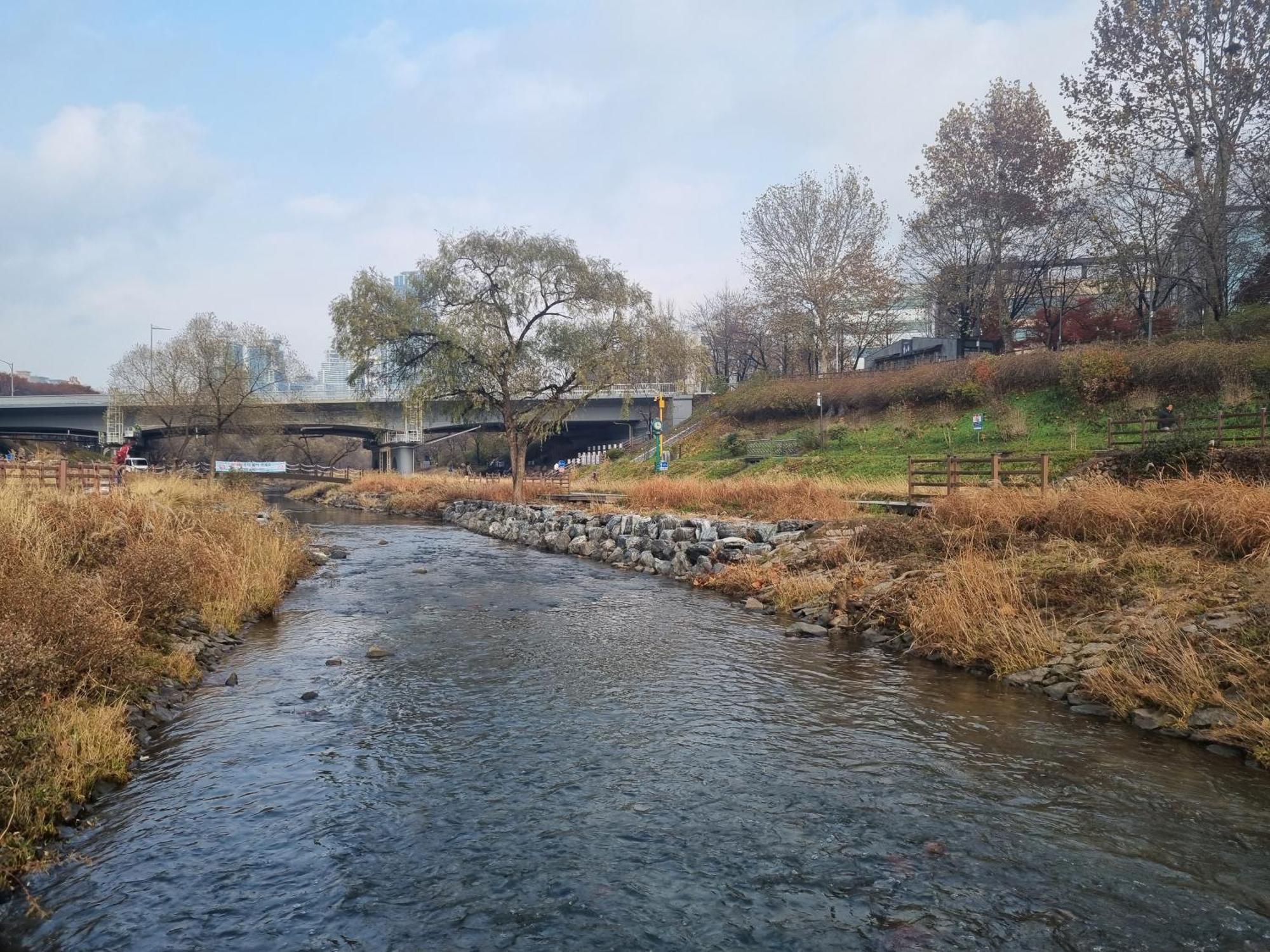 Yangjae Station & Stream Pangsapuri Seoul