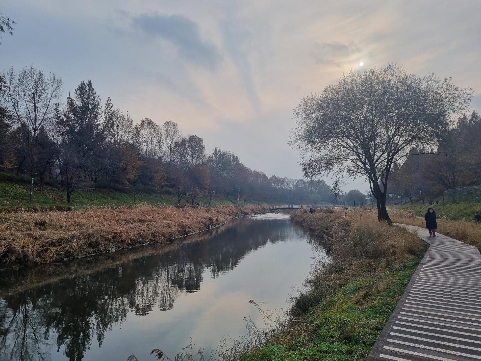 Pangsapuri Yangjae Station & Stream