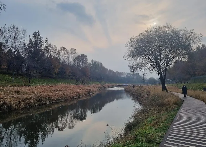 Yangjae Station & Stream Stay
