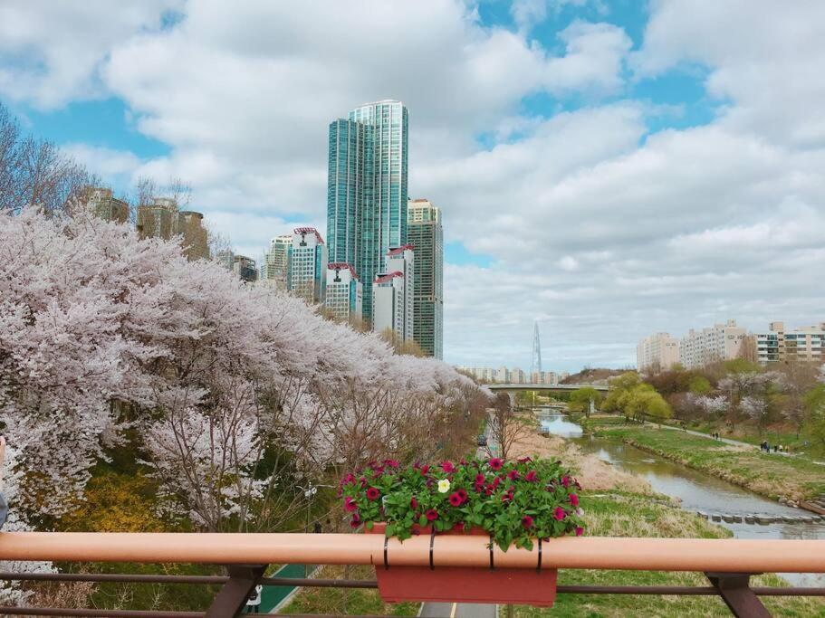 Yangjae Station & Stream *