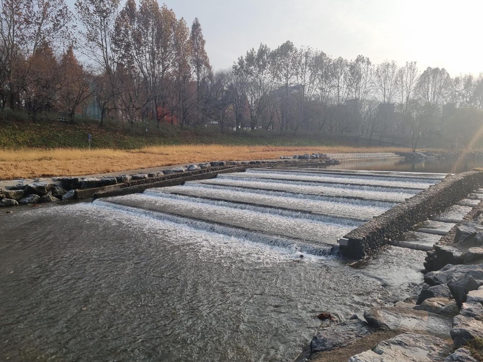 Yangjae Station & Stream